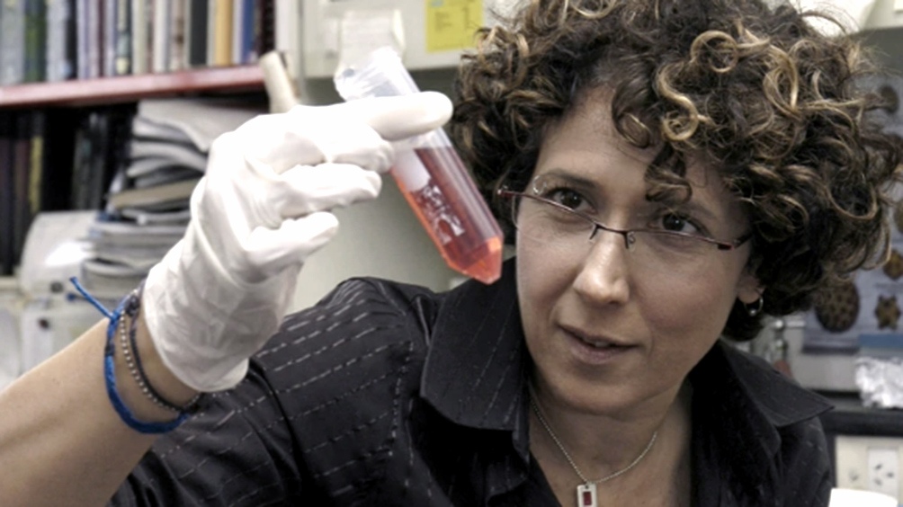 Andrea Gamarnik, jefa del Laboratorio de Virología Molecular de la Fundación Instituto Leloir e investigadora principal del Conicet. Foto: Telam