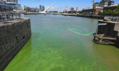 Están buscando si existe un nuevo de foco de contaminación. Foto: Telam