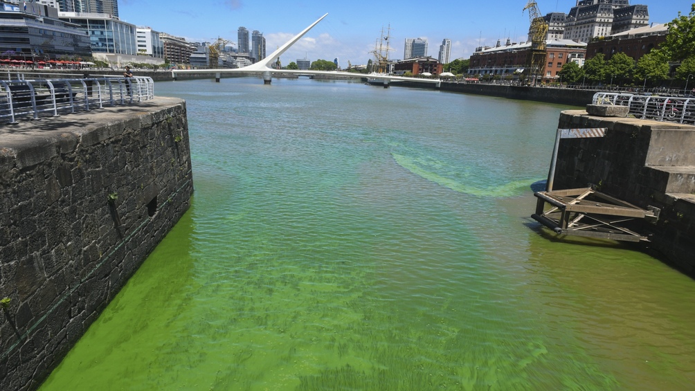 Están buscando si existe un nuevo de foco de contaminación. Foto: Telam