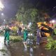 Árboles caídos derribaron alimentadores y ocasionaron destrozos. Foto: Municipalidad de Asunción.