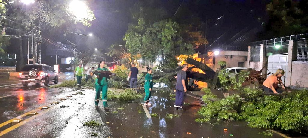 Árboles caídos derribaron alimentadores y ocasionaron destrozos. Foto: Municipalidad de Asunción.