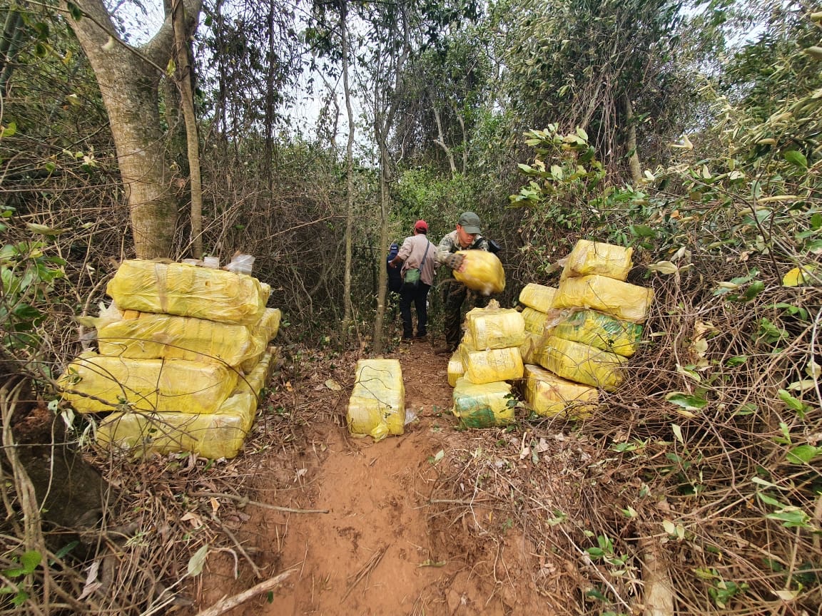 Carga de marihuana encontrada. Foto: Twitter