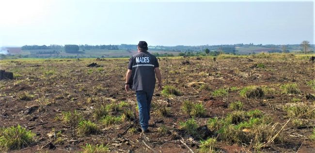 El nuevo Código Ambiental actualizará la legislación ambiental. Foto: IP