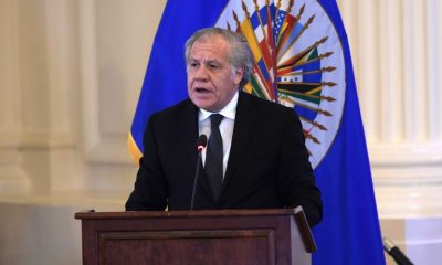 Luis Almagro, el secretario general de la Organización de Estados Americanos (OEA). Foto: Infobae.