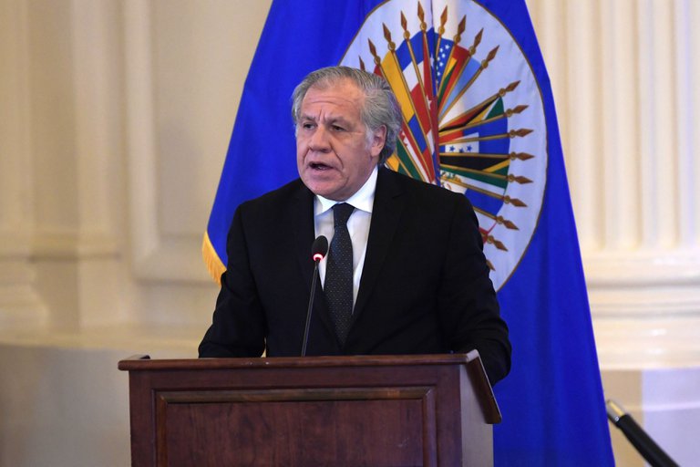 Luis Almagro, el secretario general de la Organización de Estados Americanos (OEA). Foto: Infobae.