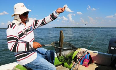 Veda pesquera rige en el país. Foto Gentileza