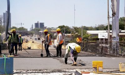 Corredor Vial Botánico. Foto: Gentileza