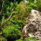 En Canindeyú se encuentra la Reserva Natural del Mbaracayú, uno de los últimos grandes remanentes de bosque de la Región Oriental. Foto: Gentileza.