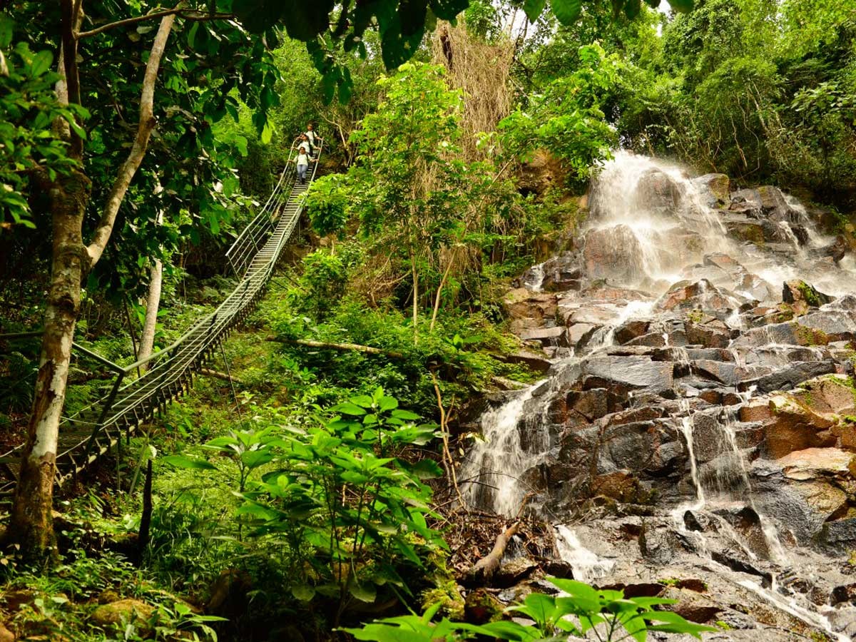 En Canindeyú se encuentra la Reserva Natural del Mbaracayú, uno de los últimos grandes remanentes de bosque de la Región Oriental. Foto: Gentileza.