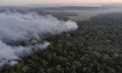 Unas 1000 hectáreas de bosques fueron consumidos por las llamas en San Rafael, donde la situación está lejos de ser controlada. Foto: Guyra Paraguay