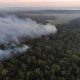 Unas 1000 hectáreas de bosques fueron consumidos por las llamas en San Rafael, donde la situación está lejos de ser controlada. Foto: Guyra Paraguay