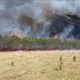 Los incendios devastaron la mitad de la reserva de la EBY en la Isla Yacyretá. Foto: Captura de video