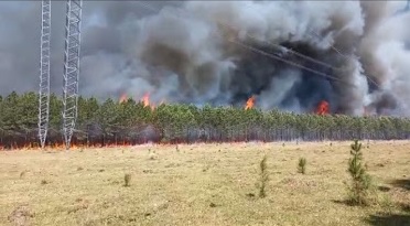 Los incendios devastaron la mitad de la reserva de la EBY en la Isla Yacyretá. Foto: Captura de video