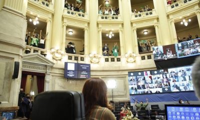 El Senado sancionó la ley en la madrugada de este miércoles. Foto: Télam