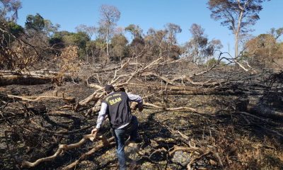 La zona se encuentra invadida hace por lo menos 8 años y en los últimos se constató una gran depredación de la reserva que la compone. Foto Archivo ÚH