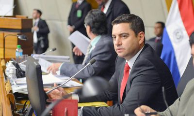 Diputado Pedro Alliana. Foto: Agencia IP