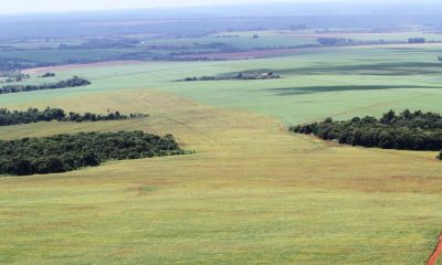 Unas 8 millones de hectáreas de tierras se repartieron de manera ilegal según la Comsión Verdad y Justicia del Congreso. Foto: Archivo