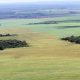 Unas 8 millones de hectáreas de tierras se repartieron de manera ilegal según la Comsión Verdad y Justicia del Congreso. Foto: Archivo