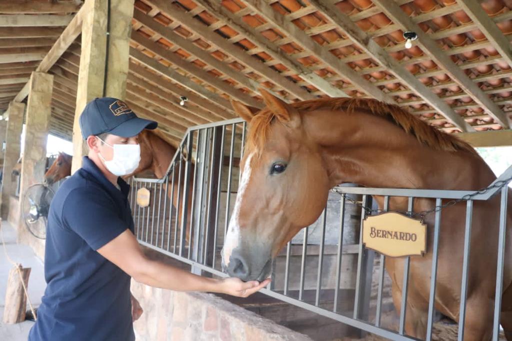 Los caballos son mansos y esperan a visitantes. Foto: Gentileza