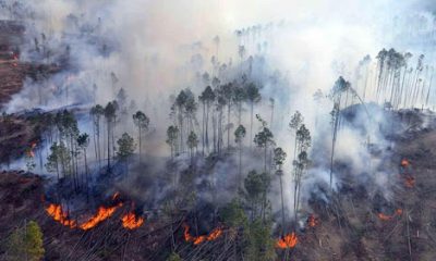 La fuerte sequía motivo una oleada de incendios en Paraguay.