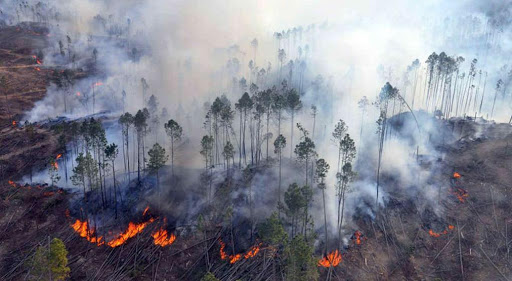 La fuerte sequía motivo una oleada de incendios en Paraguay.