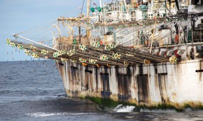 La flota pesquera china puede ser observada a través del sistema de monitoreo de Global Fishing Watch. Foto: Infobae.