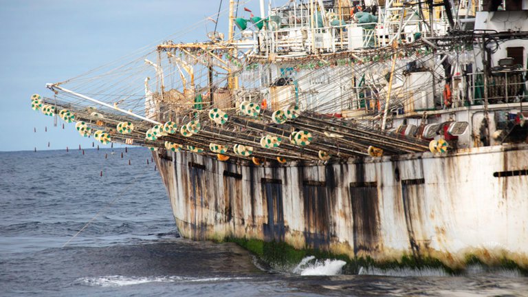 La flota pesquera china puede ser observada a través del sistema de monitoreo de Global Fishing Watch. Foto: Infobae.