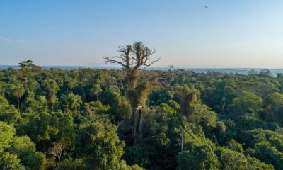 Ley sobre transferencia de Reserva Yberá a campesinos de Marina Cue en el centro del debate ambiental. Foto: Archivo