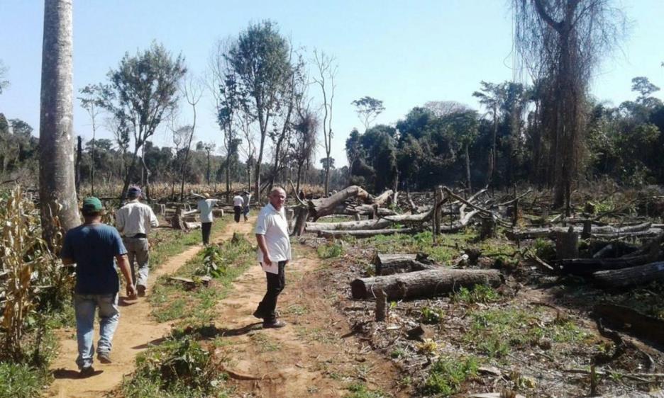 La Reserva Científica Yberá creada en 2016 sufrió todos estos años la deforestación de su masa boscosa. Foto: IP