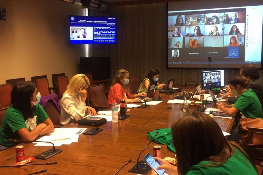 La Comisión de Mujeres y Equidad de Género comenzó con la discusión del proyecto de ley que modifica el Código Penal. Foto: Cámara de Diputados