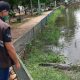 Técnicos del Mades intervinieron la comuna de Itá por manejo irregular de animales silvestres. Foto: Gentileza.