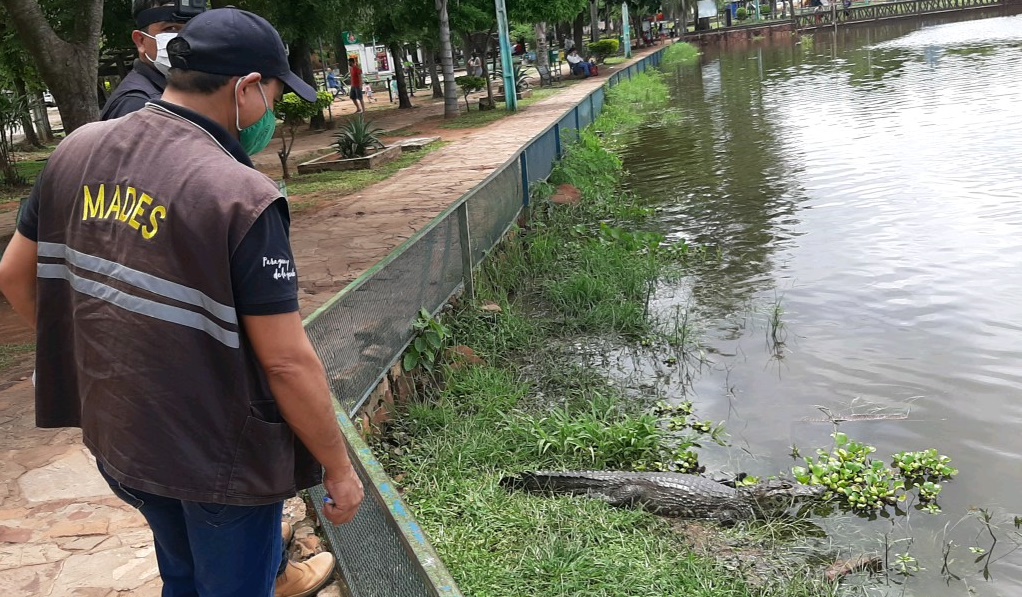 Técnicos del Mades intervinieron la comuna de Itá por manejo irregular de animales silvestres. Foto: Gentileza.