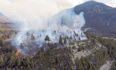 El Gobierno de Río Negro agregó que tenía previsto que unos 140 brigadistas continuaran trabajando para detener el avance del fuego. Foto: Télam