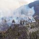 El Gobierno de Río Negro agregó que tenía previsto que unos 140 brigadistas continuaran trabajando para detener el avance del fuego. Foto: Télam