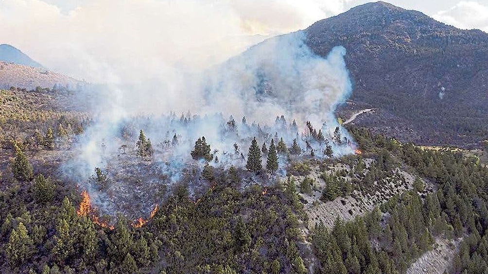 El Gobierno de Río Negro agregó que tenía previsto que unos 140 brigadistas continuaran trabajando para detener el avance del fuego. Foto: Télam