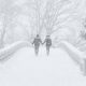Una de las peores tormentas de nieve en la historia reciente de Estados Unidos cubre de blanco gran parte de Nueva York.