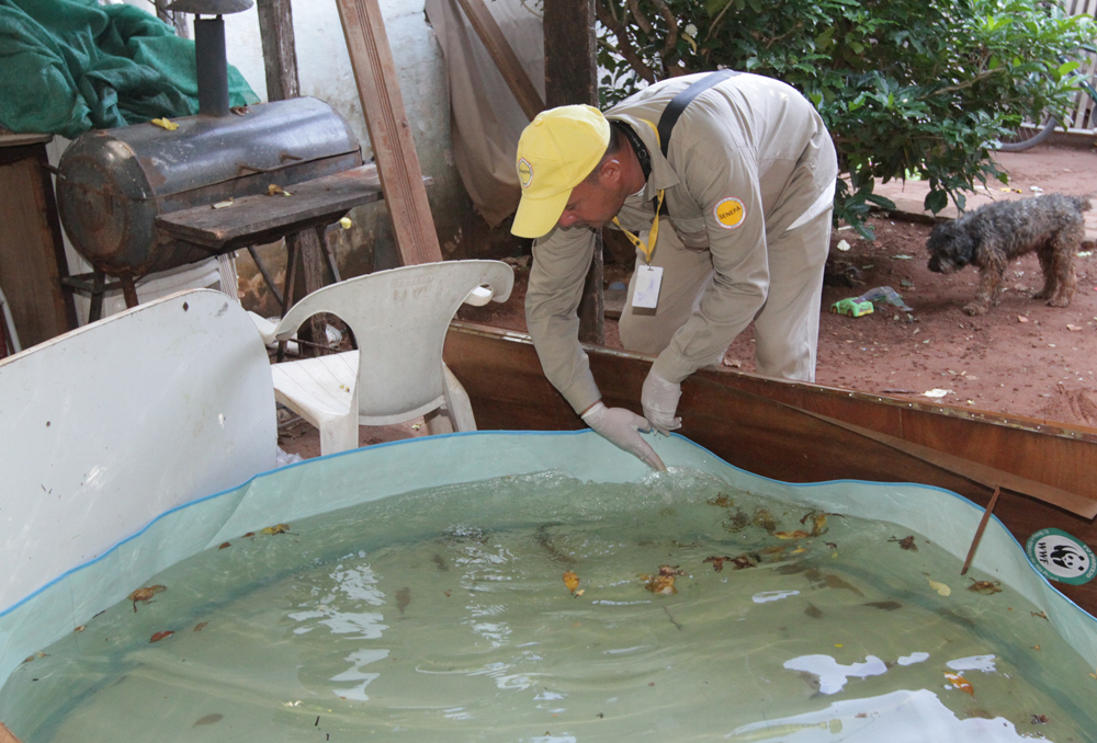 Insisten en la eliminación de criaderos para evitar la propagación del dengue. Foto: Gentileza