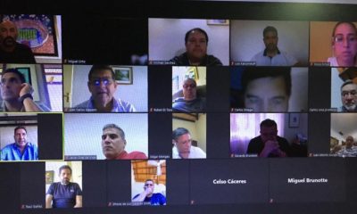 A través de una reunión virtual vía Zoom, los presidentes de clubes de Primera División se reunieron este sábado con Robert Harrison. Foto: @APFOficial.