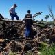 Más de 500 hectáreas de bosques fueron desmontadas ilegalmente en un establecimiento ganadero de San Pedro. Foto: MADES