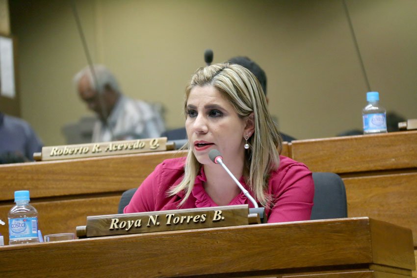 Diputada Roya Torres.