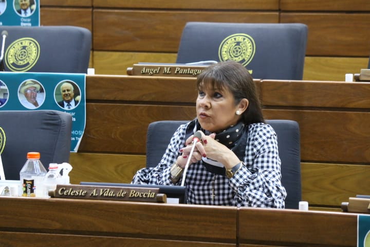 Senadora Celeste Amarilla. Foto: Archivo