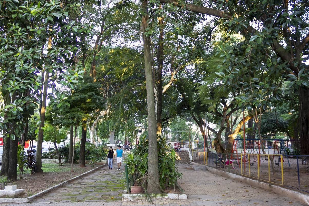 Plaza “Batallón 40”, paseo central © Leonardo Méndez