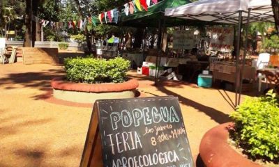 La feria agroecologica todos los jueves de 8:30 a 14 horas. Foto: Gentileza