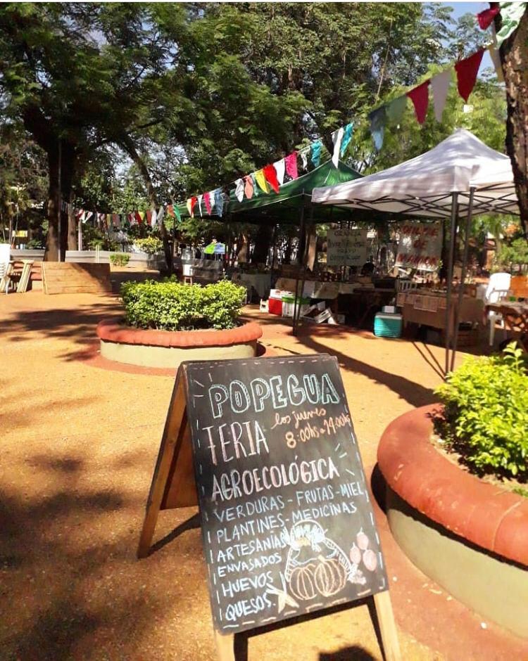 La feria agroecologica todos los jueves de 8:30 a 14 horas. Foto: Gentileza