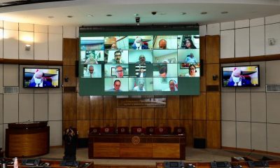 Cámara de Senadores. Foto: Gentileza