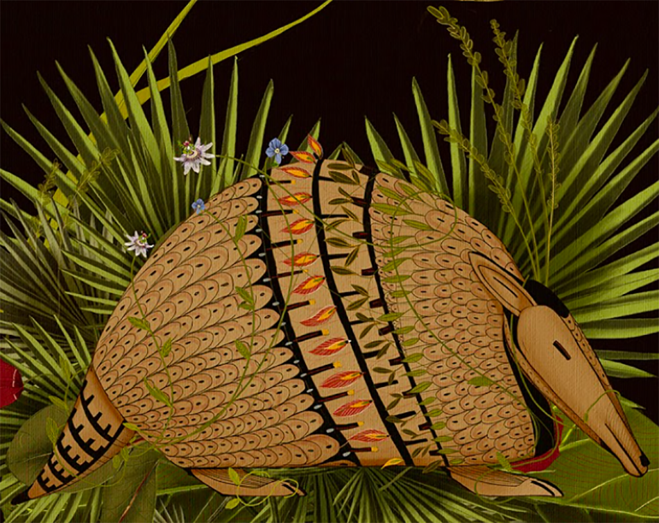 Simona Murialdo, "El sueño del armadillo"