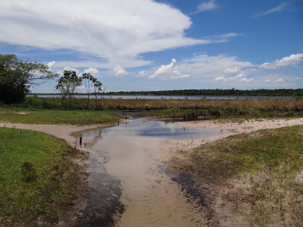 Laguna Blanca tiene varios afluentes que le traen agua limpia de los bosques circundantes y mantienen sus humedales asociados.