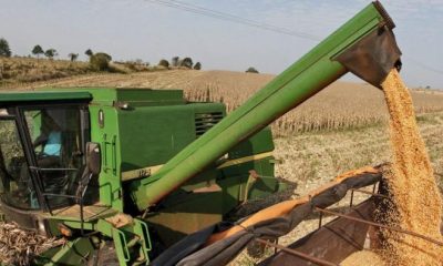 Estiman que podría cerrar en 10 millones de toneladas de granos producidos. Foto: Ilustración.