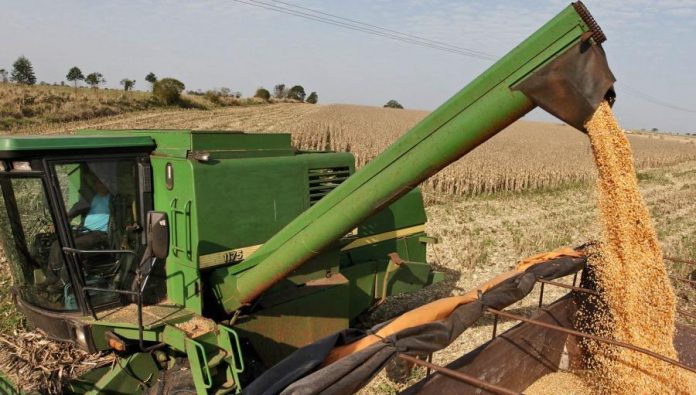 Estiman que podría cerrar en 10 millones de toneladas de granos producidos. Foto: Ilustración.