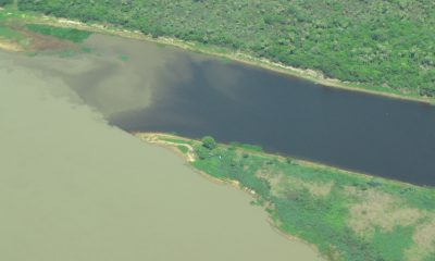 Uno de los mayores humedales del Paraguay (y del mundo) es el Pantanal localizado en el Alto Paraguay y particularmente en Bahía Negra.